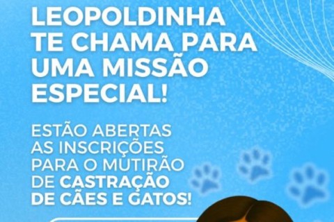 Pedro Leopoldo realiza mutirão de castração gratuita para cães e gatos