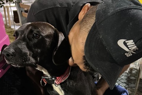 Projeto busca apoio para homem em situação de rua e cães na rodoviária de Pedro Leopoldo