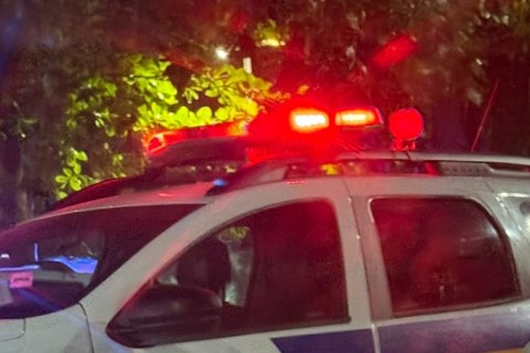 Residência é invadida e galinhas são mortas a pauladas no Vera Cruz