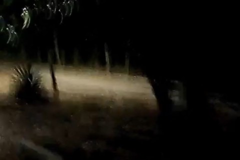 Morador cobra melhorias na iluminação da pista de cooper em Pedro Leopoldo