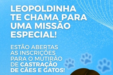 Pedro Leopoldo abre inscrições para mutirão de castração de cães e gatos