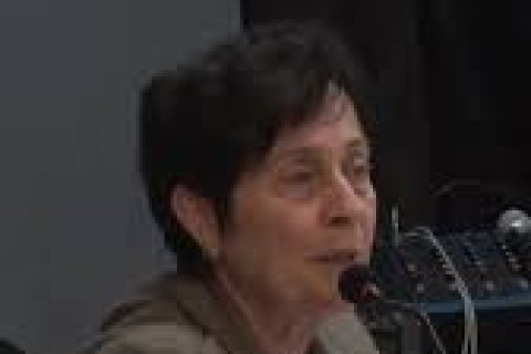 Vereadora pede manutenção e cercamento de parquinhos em reunião da Câmara