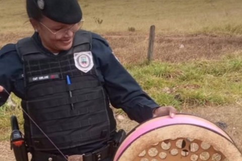 Guarda Civil intensifica ações contra o uso de cerol e linhas chilenas em Pedro Leopoldo