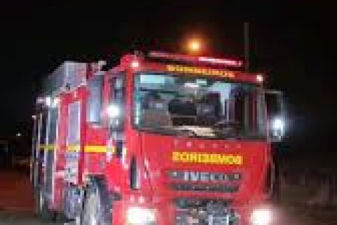 Bombeiros recolhem siriema ferida e encaminham para tratamento veterinário