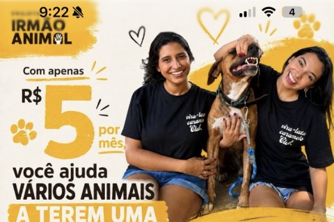 Projeto Irmão Animal cria assinatura a partir de R$ 5 para ajudar no cuidado de animais