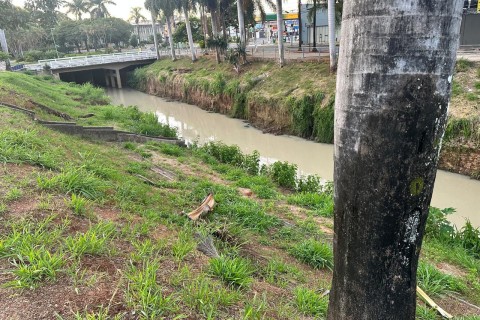 Ribeirão em Pedro Leopoldo apresenta coloração incomum e chama atenção de moradores