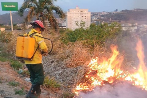 Defesa Civil combate focos de incêndio em Pedro Leopoldo no fim de semana