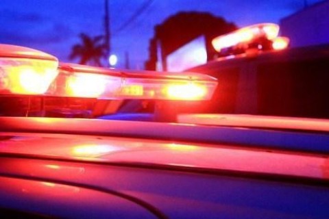 Carro capota após colisão com vacas na MG-424, em Confins