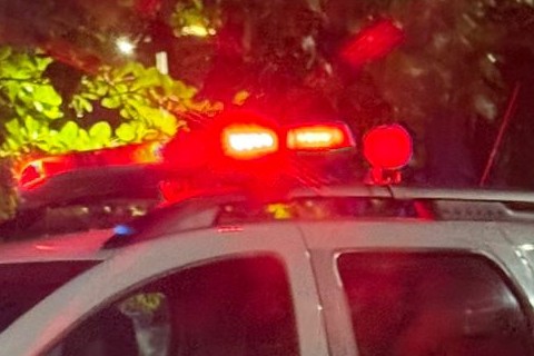 Furto de gado é registrado em chácara no bairro Santo Antônio, em Pedro Leopoldo