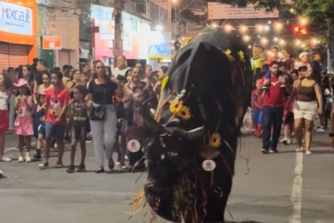 Boi da Manta de Pedro Leopoldo concorre a prêmio nacional e mobiliza população por votos
