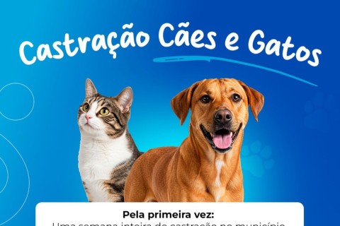 Prefeitura abre inscrições para mutirão de castração de cães e gatos em Pedro Leopoldo